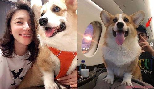 陈雅婷 生活照,展现真实魅力与日常风采